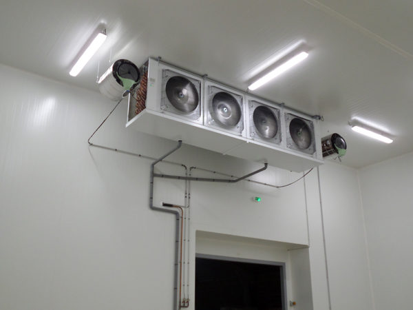 vapadisc 6600 pour humidifier une chambre froide de stock de fruits et légumes : humidification industrielle