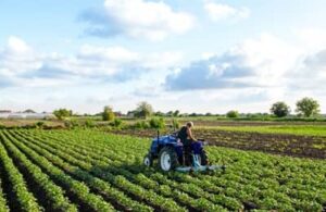 Équipements pour l’agriculture : ventilation, chauffage, manutention et traitement de l’air adaptés aux besoins des exploitations agricoles.